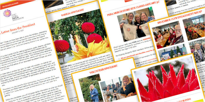 newsletter_2